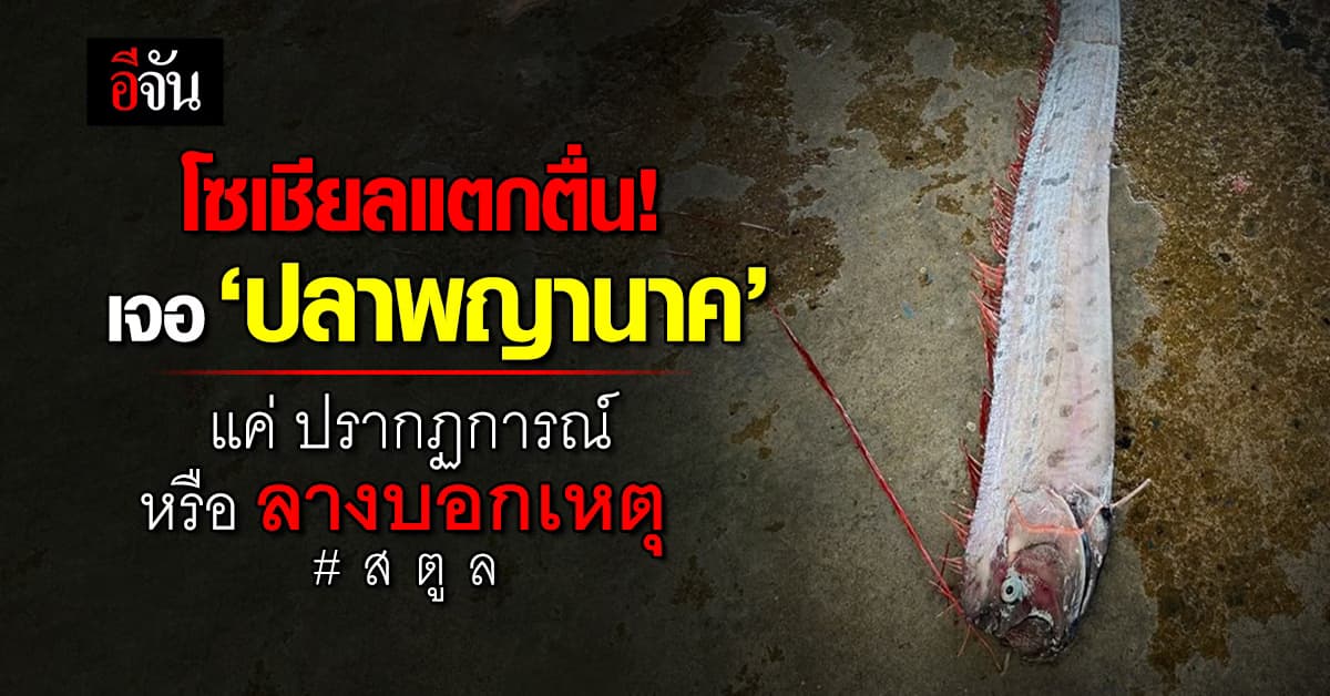ฟังเฉลย! เจอ ‘ปลาพญานาค’ ที่สตูล แค่ปรากฏการณ์ หรือ ลางบอกเหตุ