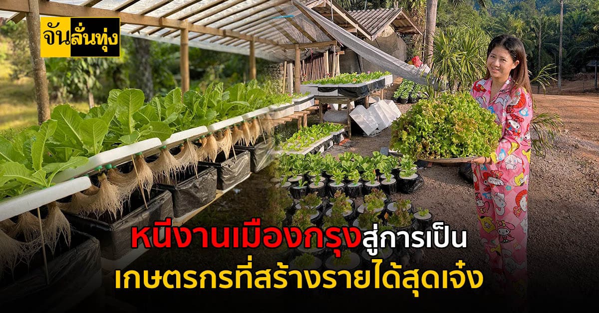 หนีชีวิตชาวเมือง สู่การกลับบ้าน มาทำการเกษตร สร้างรายได้ไม่ธรรมดา
