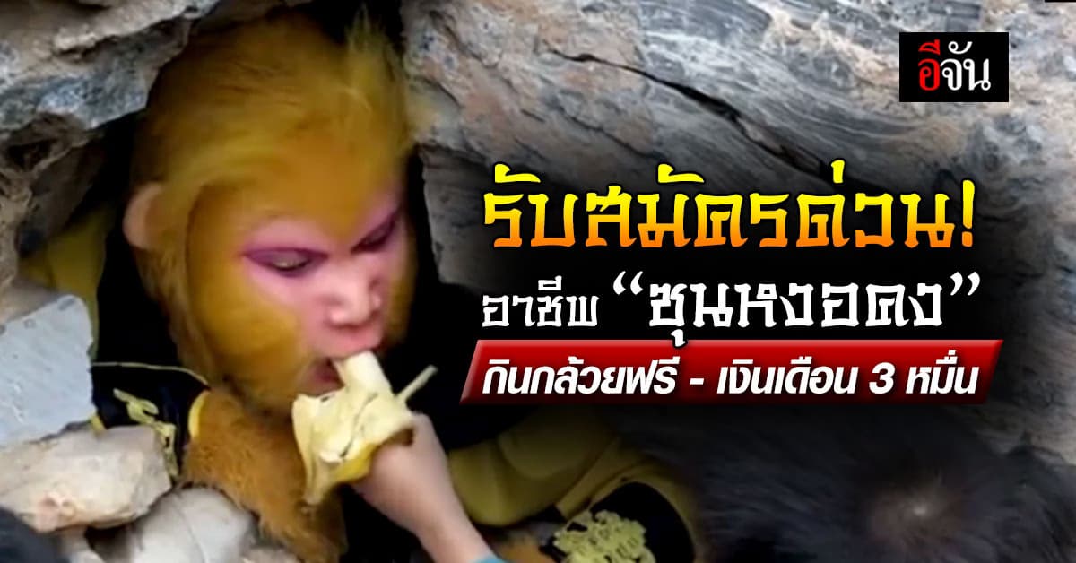 สนใจมั้ย? อาชีพ ‘ซุนหงอคง’ รับคนเพิ่ม กินกล้วยฟรี-เงินเดือน 3 หมื่น