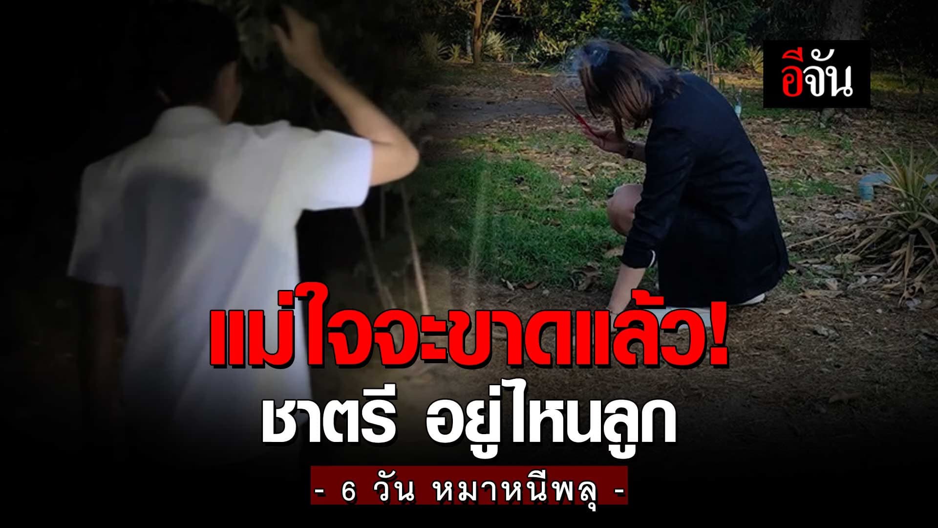 🎬 เจ้าของตามหา น้องหมาชาตรี หลังตกใจเสียงพลุวิ่งหนีเข้าป่า