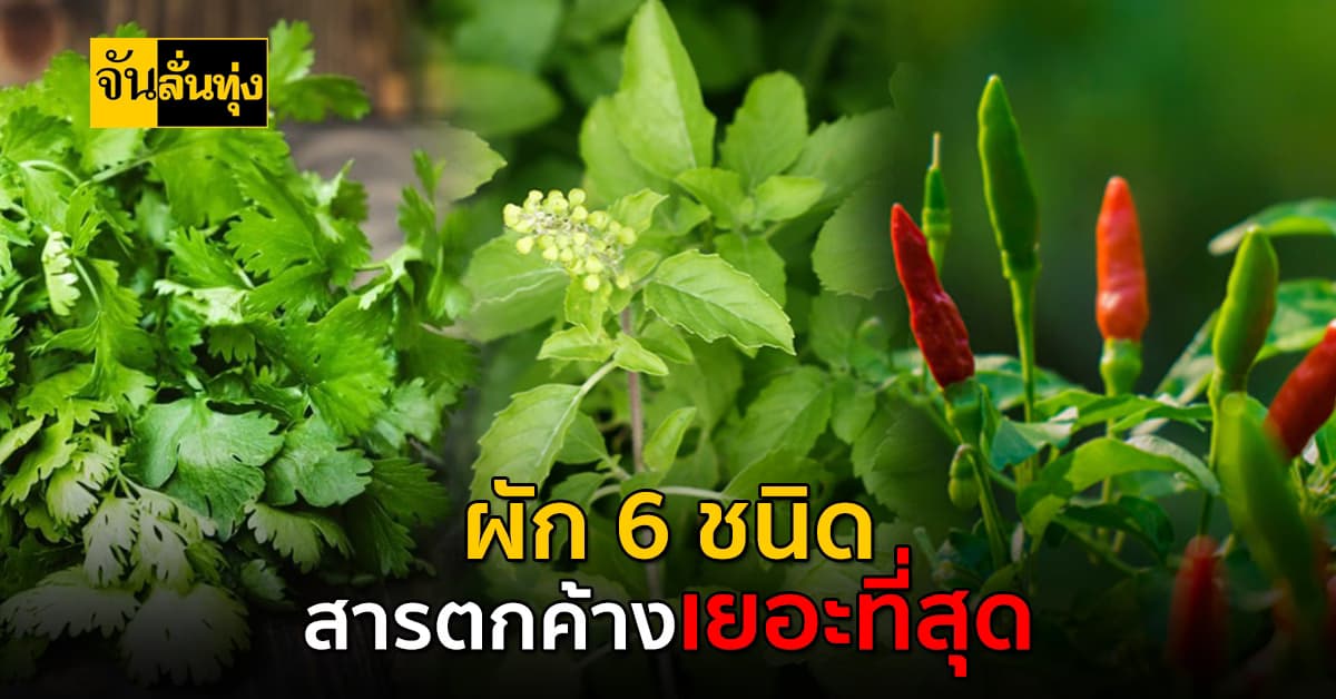 ผัก 6 ชนิดตรวจพบสารตกค้างเยอะที่สุด ต้องจัดการด้วยวิธีนี้