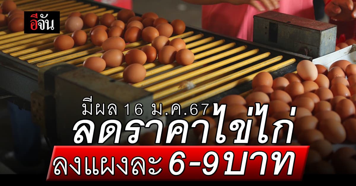 ข่าวดี! ลดราคาไข่ไก่ ลงแผงละ 6-9 บาท มีผล 16 ม.ค.67