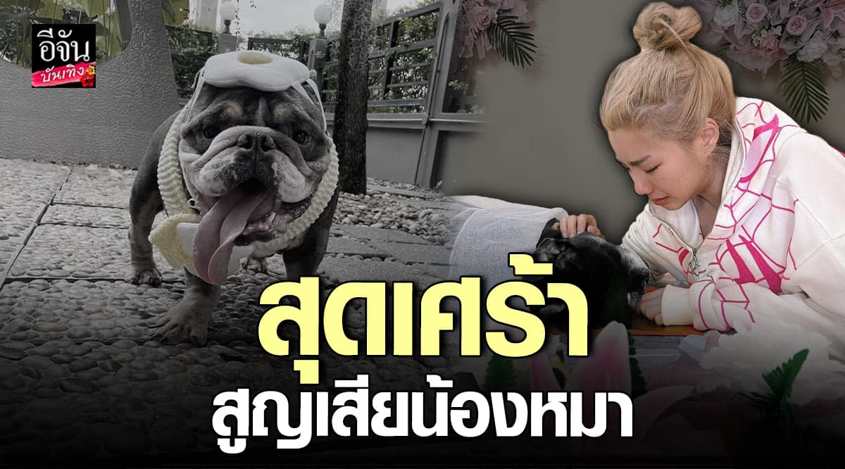 วันเดอร์เฟรม ปล่อยโฮ หลังน้องหมาสุดที่รักจากไป