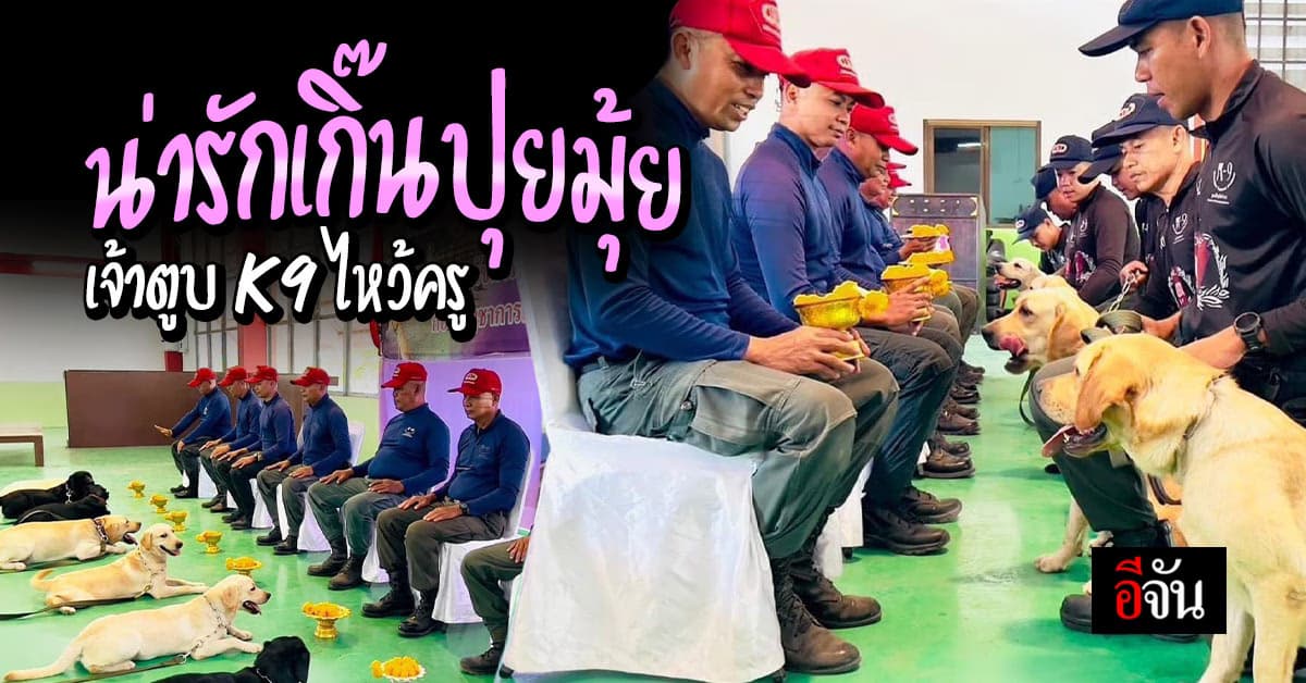 น่ารักเกิ๊นปุยมุ้ยเจ้าตูบ K9 ไหว้ครู