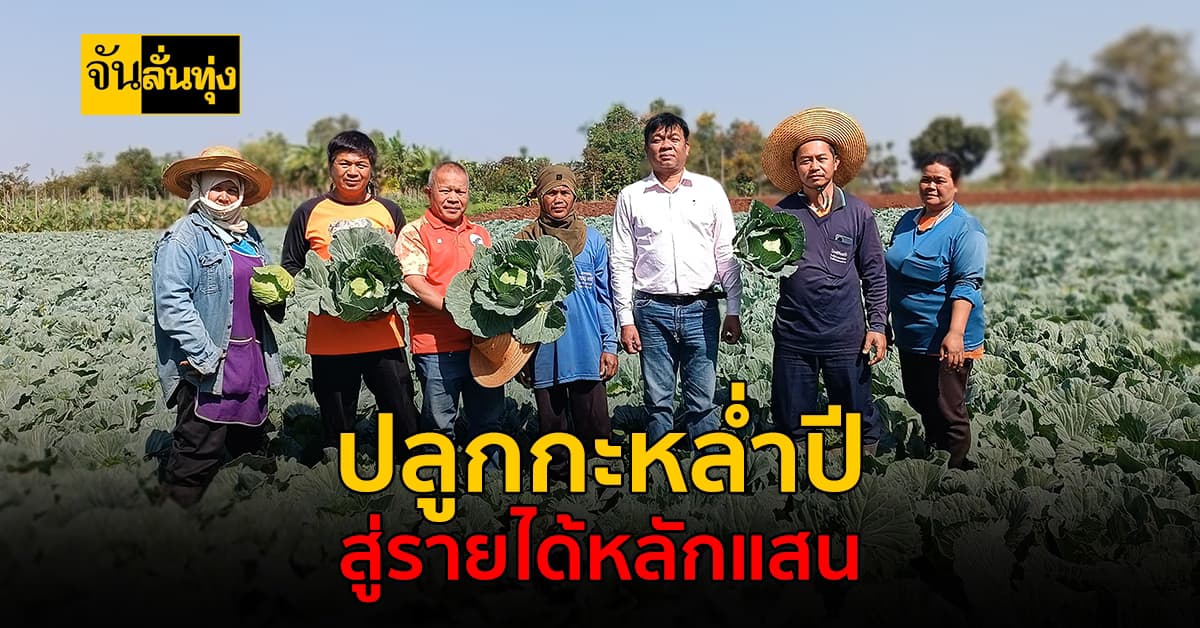 สุดปัง! เกษตรกรสร้างรายได้ไร่ละแสน จากการปลูกกะหล่ำปี