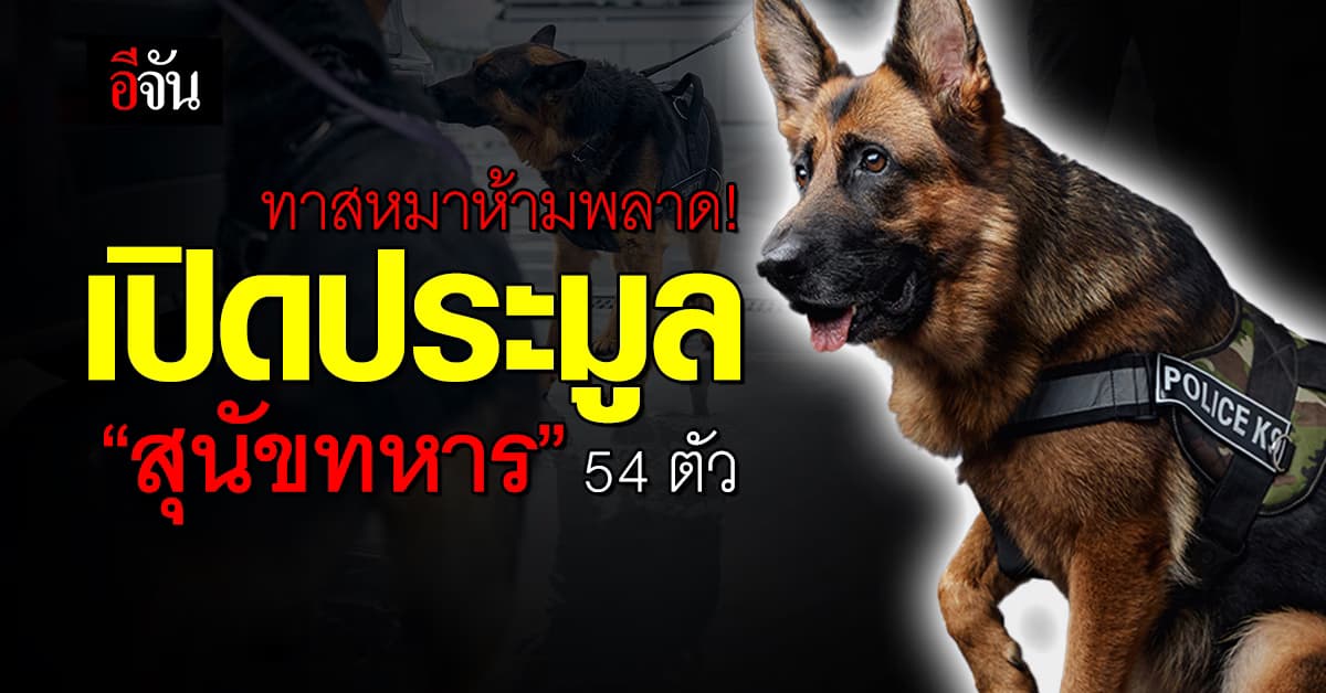 ทาสหมาห้ามพลาด! เปิดประมูล “สุนัขทหาร” 54 ตัว 27 ม.ค.67 นี้