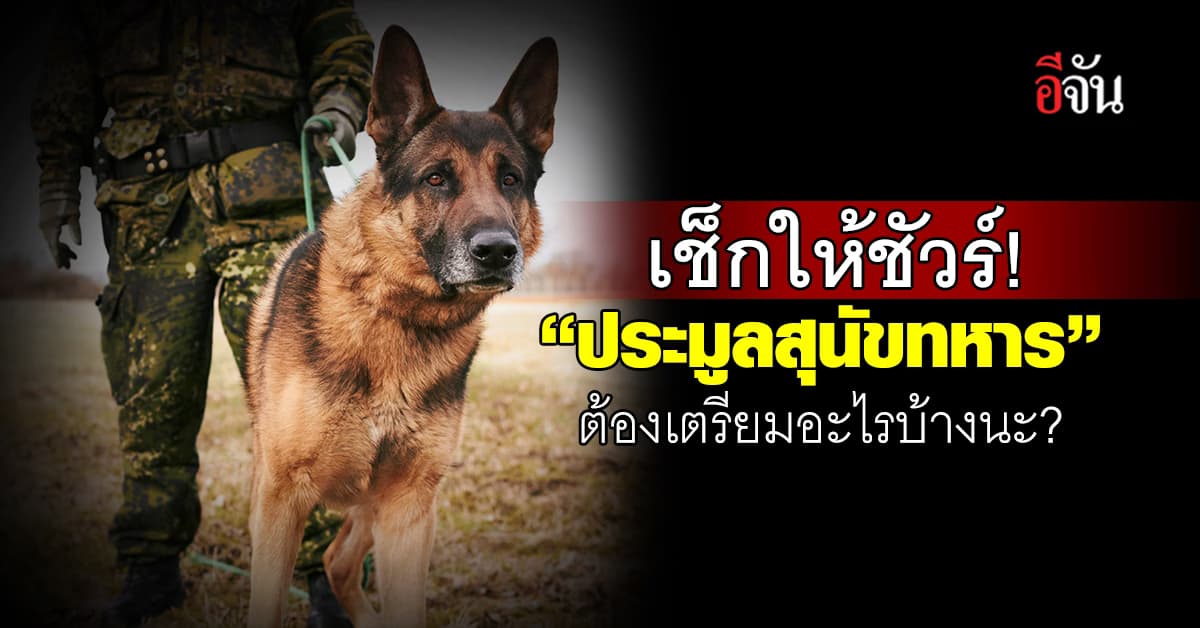 เช็กให้ชัวร์! “ประมูลสุนัขทหาร” ต้องเตรียมอะไรบ้างนะ?