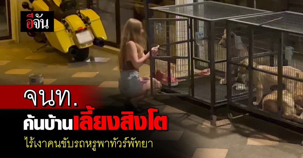 จนท. ค้นบ้านเลี้ยง “สิงโตขาว” ไร้เงาคนขับรถหรูพาทัวร์พัทยา