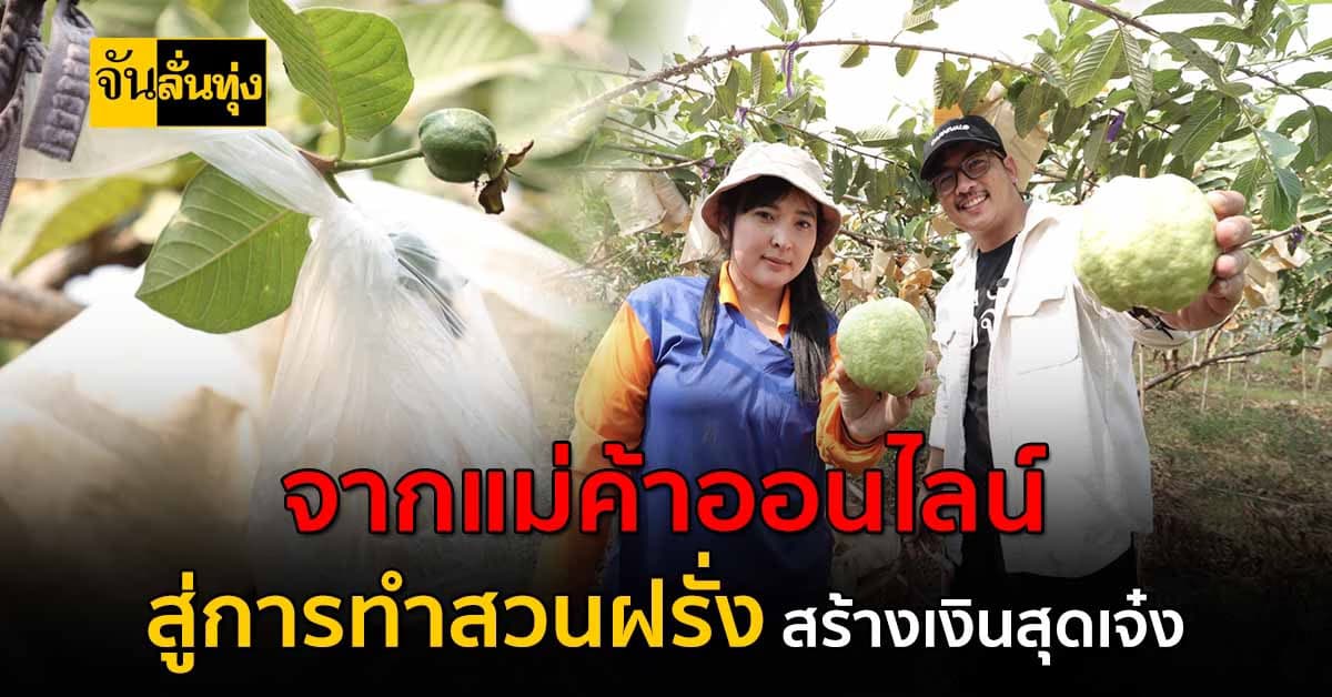 พลิกชีวิตจาก แม่ค้าออนไลน์ สู่การปลูกฝรั่งส่ง ขายสร้างรายได้ดี