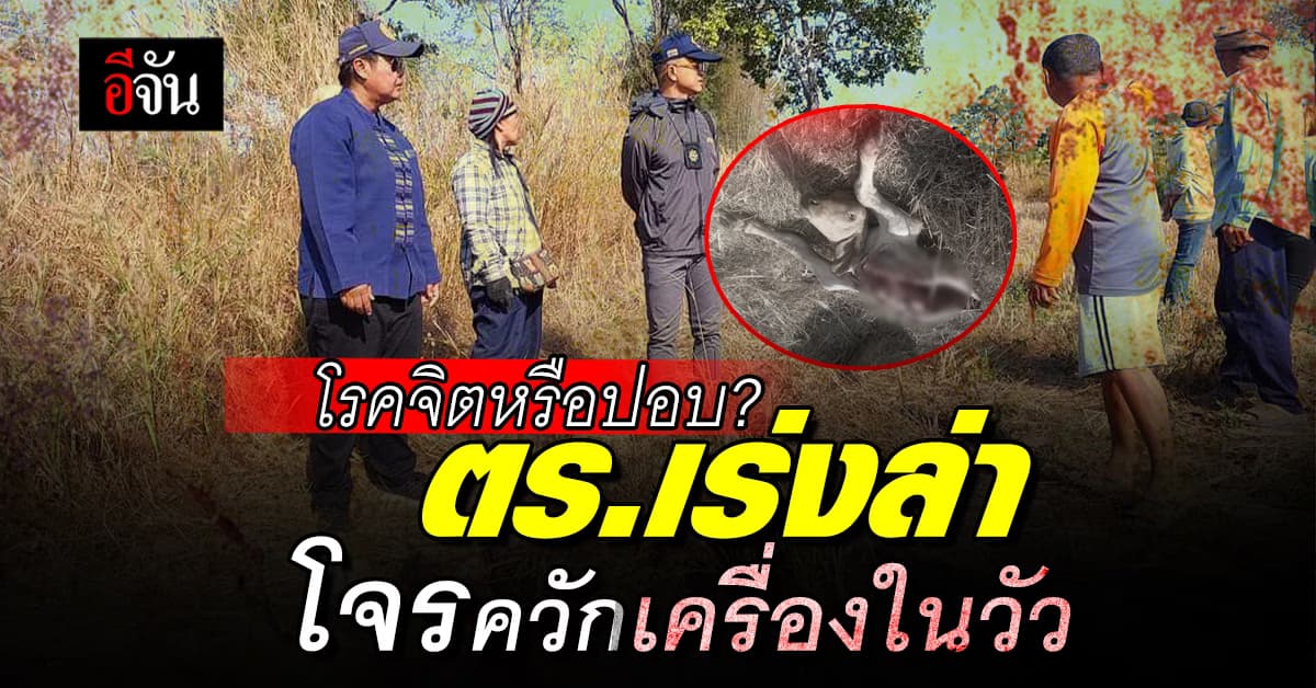 ตร.เร่งล่าโจรเหี้ยม ฆ่าวัว ควักเครื่องใน ทิ้งตัวให้ดูต่างหน้า 