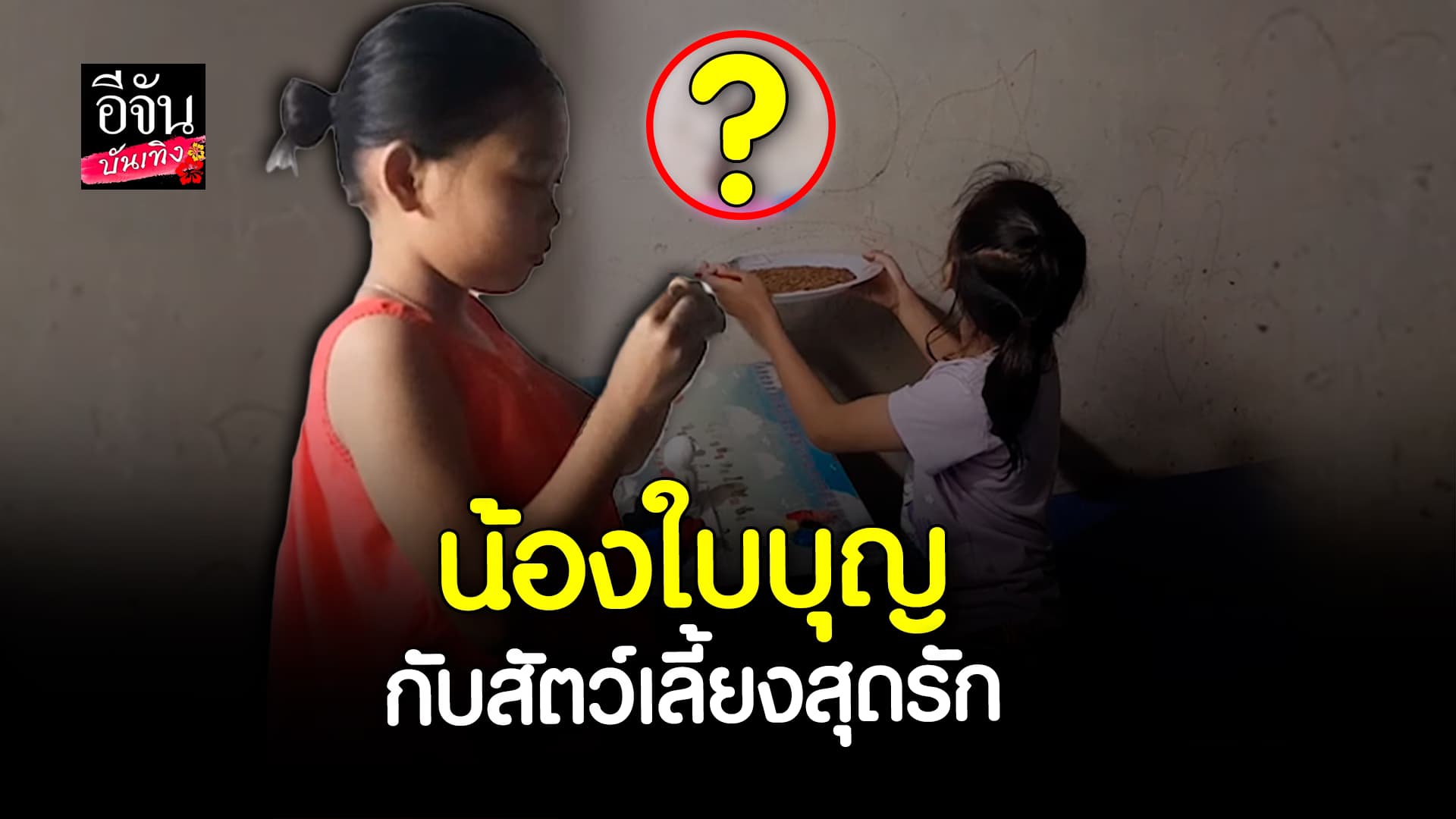 🎬 คลิปบันเทิง:น่ารักจนต้องกรี๊ด! น้องใบบุญ กับสัตว์เลี้ยงสุดรัก