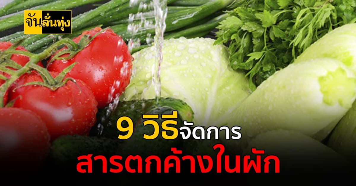 9 วิธีลดสารตกค้างในผักผลไม้ง่ายๆ ปลอดภัยต่อคนกิน