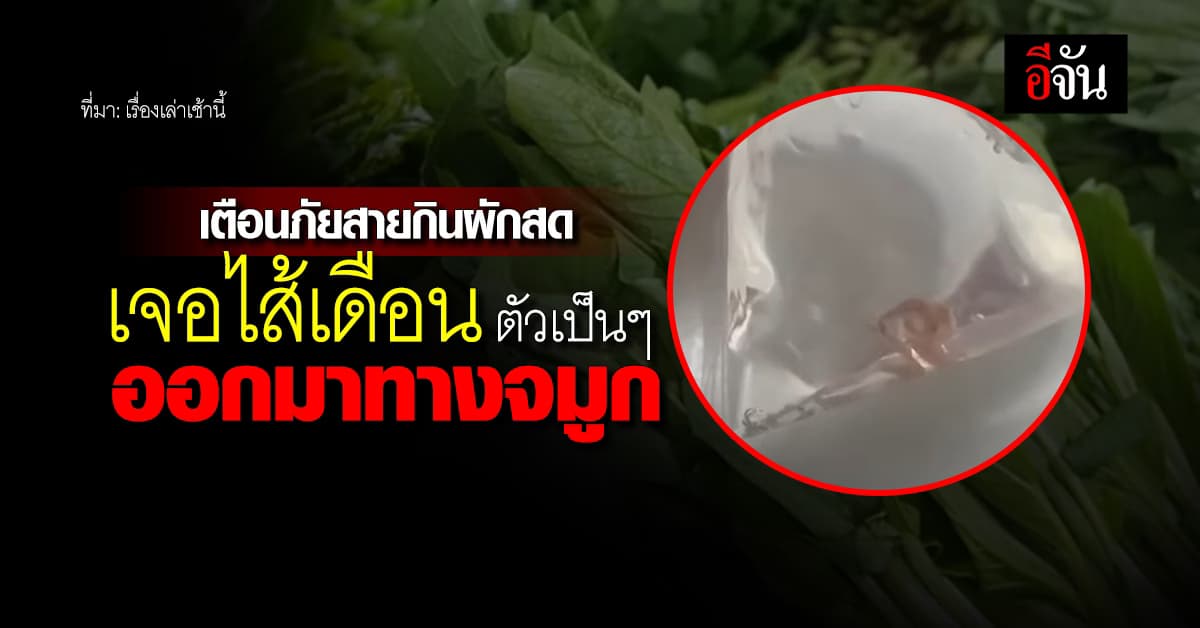 ขนลุก! เตือนภัยสายกินผักสด เจอไส้เดือนปนออกมากับน้ำมูก