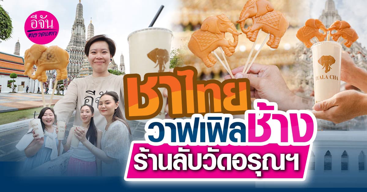 พาไปรู้จักกับร้าน IYALA CHA ชาไทยพรีเมียมและวาฟเฟิลช้างสุดน่ารัก