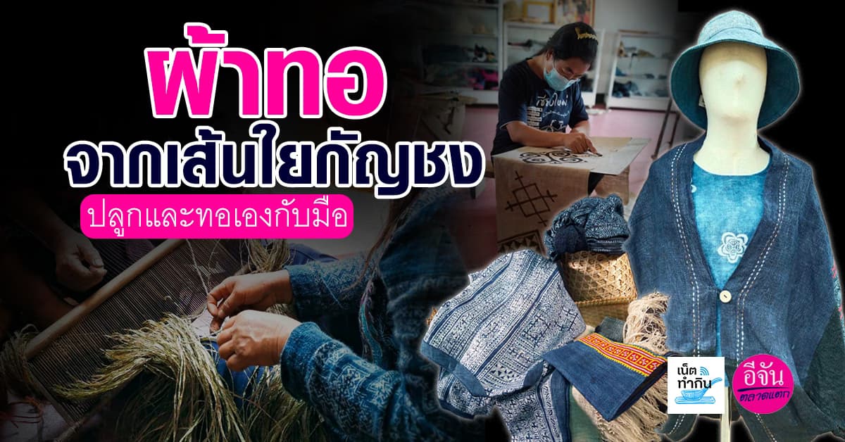 ผ้าทอจากเส้นใยกัญชง กลุ่มวิสาหกิจชุมชนดาวม่าง