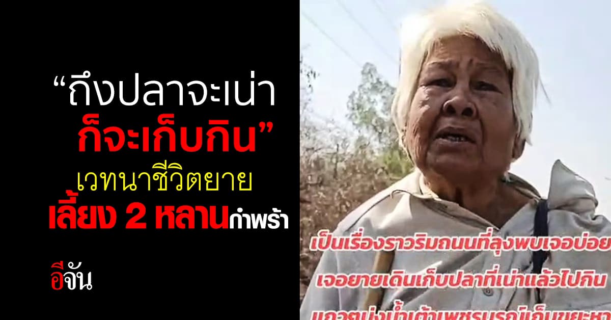 เวทนาชีวิต ยายเก็บปลาไปกิน ถึงเเม้จะเน่า ก็จะกิน ยังมีอีก 2 ชีวิตกำพร้าต้องดูเเล