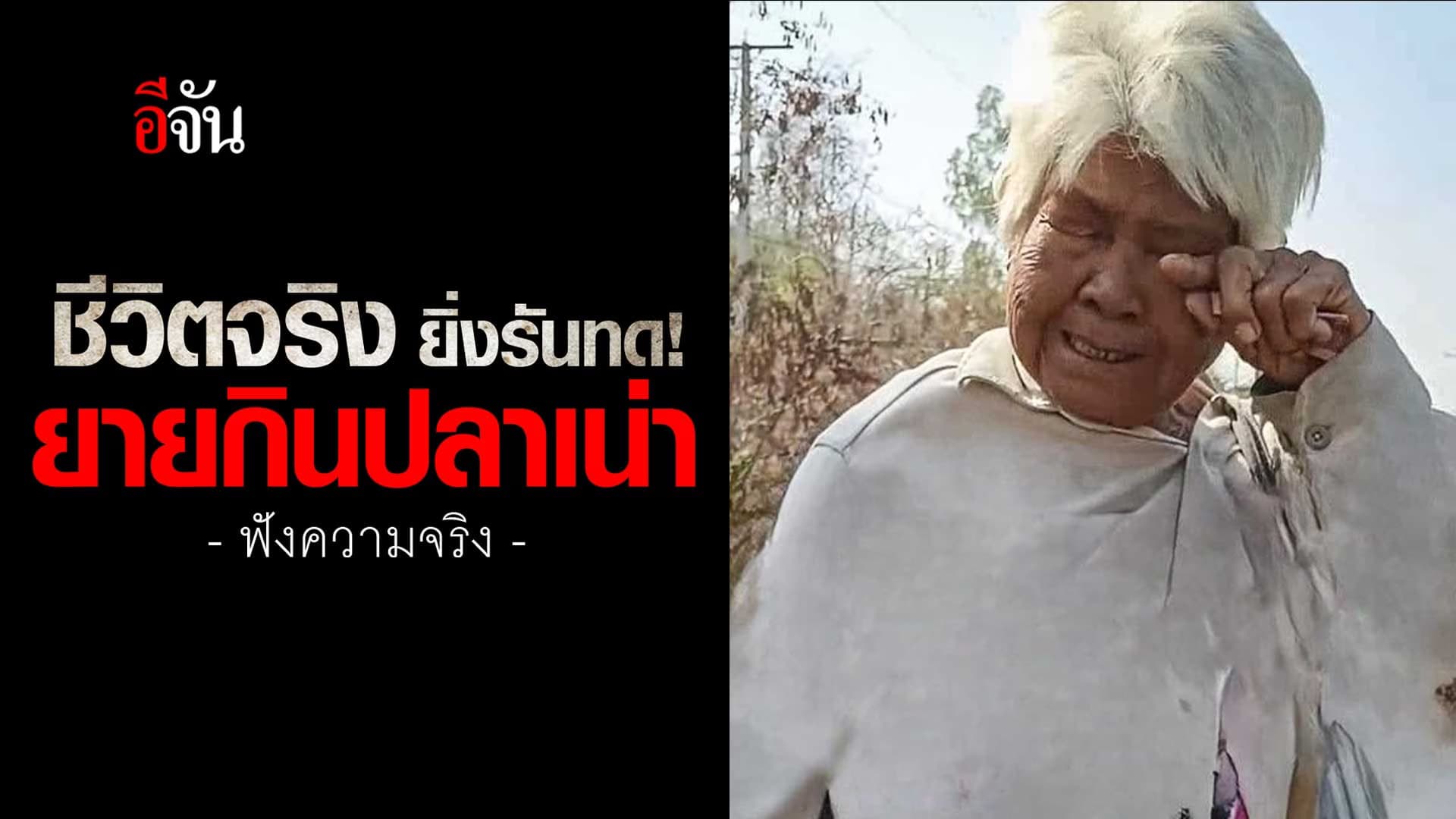 🎬 ชีวิตจริง ยิ่งกว่าละคร! ยายกินปลาเน่า