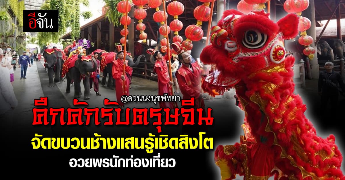ฉลองใหญ่รับตรุษจีน สวนนงนุช จัดขบวนช้างเชิดสิงโต แจกผลไม้ อวยพรนักท่องเที่ยว  