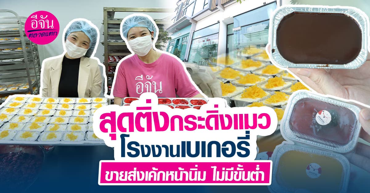 สร้างอาชีพโรงงานเบเกอรี่สุดติ่งกระดิ่งแมว  ขายส่ง – ขายปลีก เค้กหน้านิ่มชิ้นละ 10 บาท