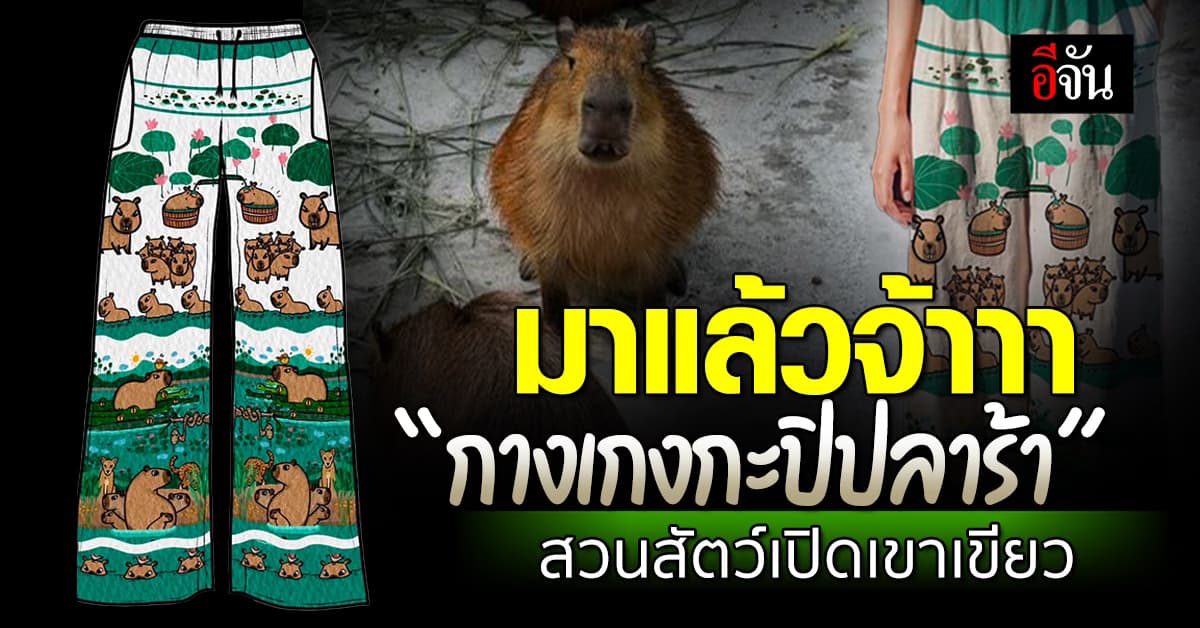 มาแล้วจ้าาา “กางเกงกะปิปลาร้า” ซอฟท์พาวเวอร์สวนสัตว์เปิดเขาเขียว