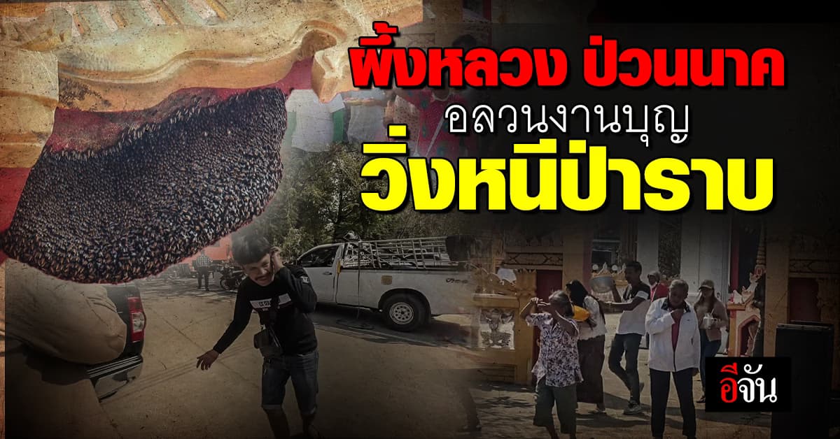 ชาวบ้านวิ่งหนีตาย! ผึ้งหลวงนับร้อยแตกรัง รุมต่อยขบวนแห่นาค เจ็บกันระนาว