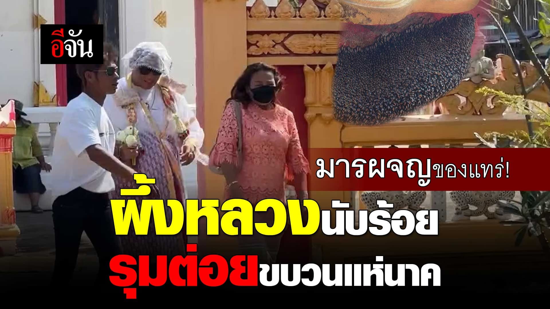 🎬 ผึ้งหลวงนับร้อย รุมต่อยขบวนแห่นาค