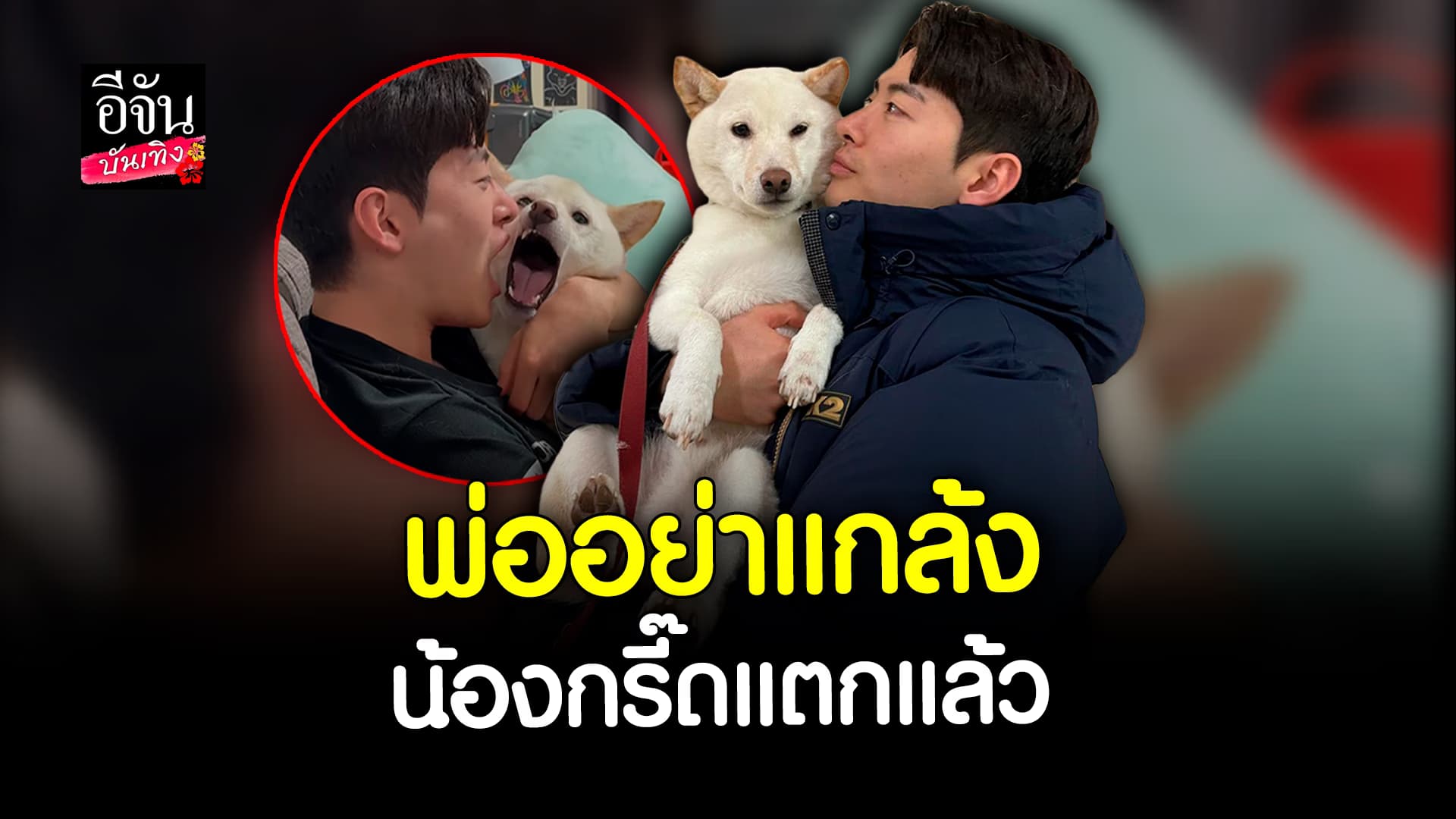 🎬 คลิปบันเทิง: ฮาน้ำตาเล็ด! น้องหมา โดนพ่อแกล้ง ทำเอาน้องกรี๊ดไม่หยุด