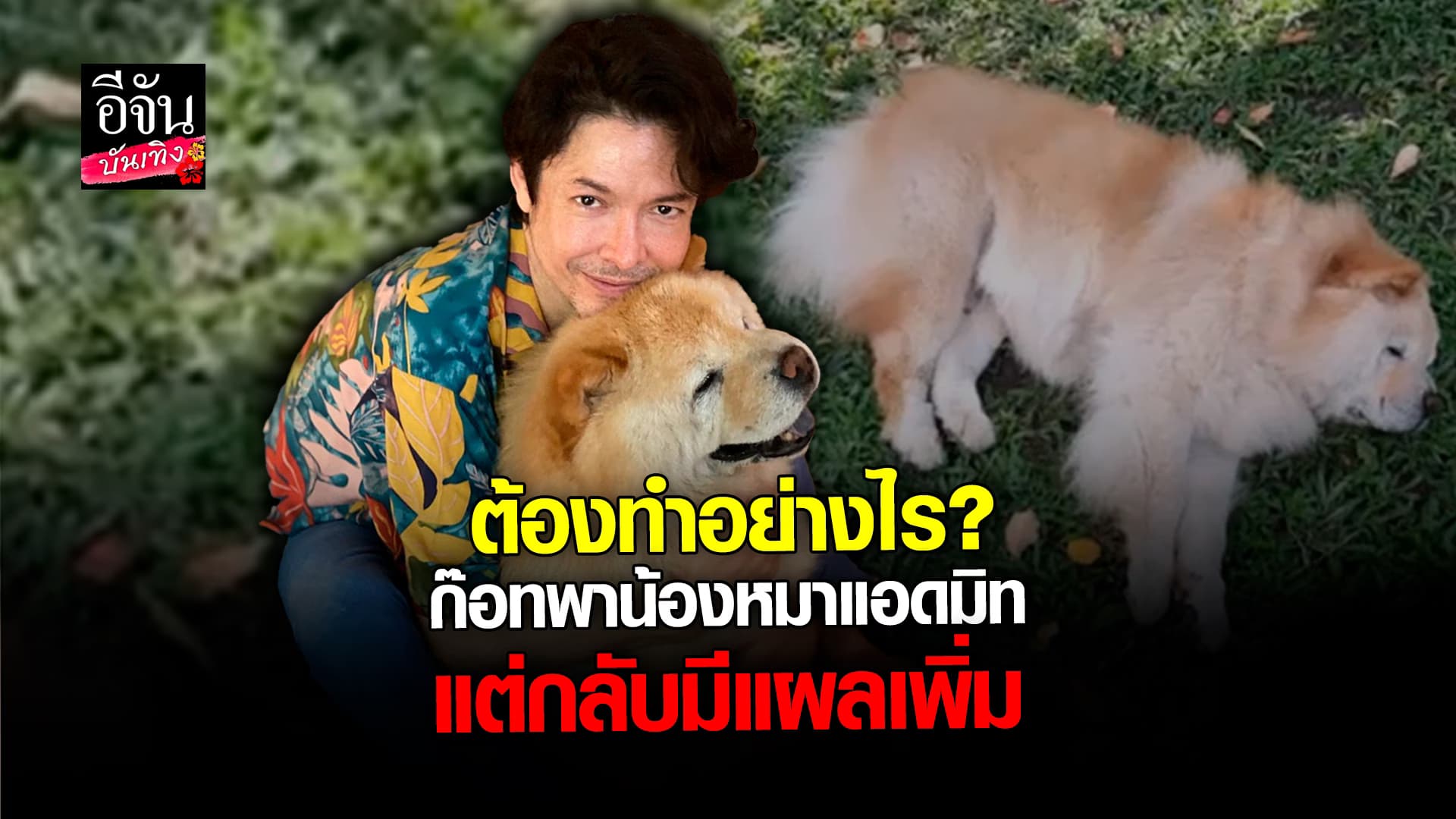 🎬 คลิปบันเทิง: ก๊อท จักรพันธ์ โวย รพ.สัตว์ ทำน้องหมาเป็นแผล อาการทรุด ไร้เงาหมอเจ้าของไข้ดูแล