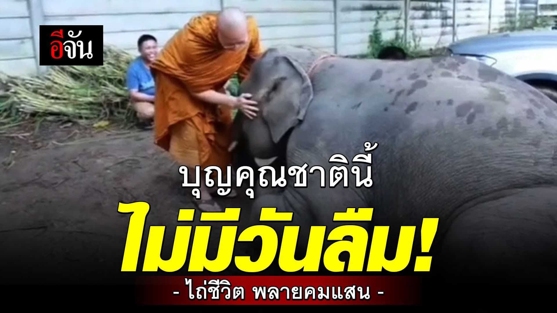 🎬 พลายคมแสน หมอบกราบ พระครูอ๊อด ผู้ให้ชีวิตใหม่