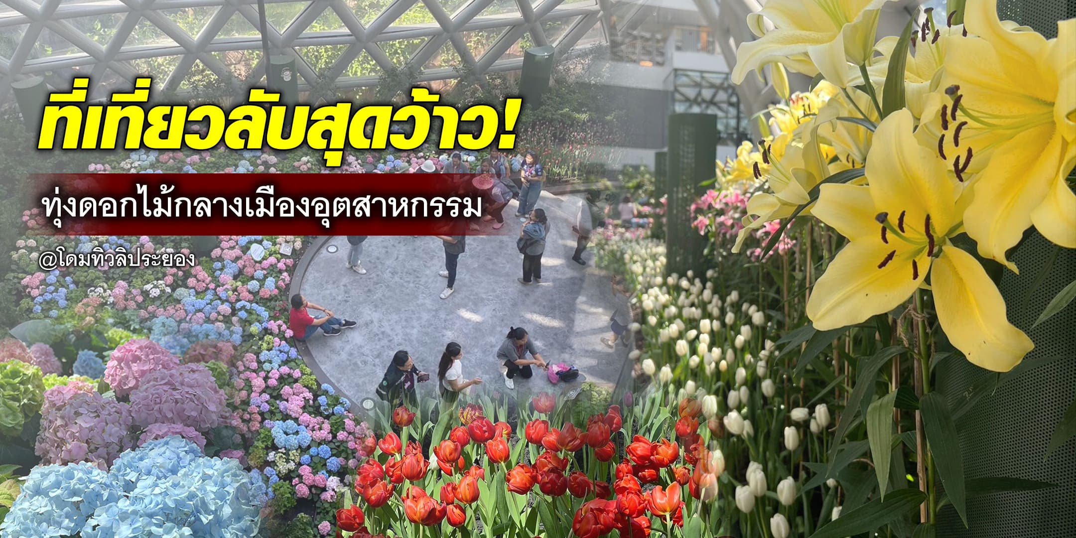 สวยงาม! ปตท. เนรมิตสวนดอกไม้กลางเมืองระยอง ด้วยความเย็นเหลือใช้จากก๊าซ LNG