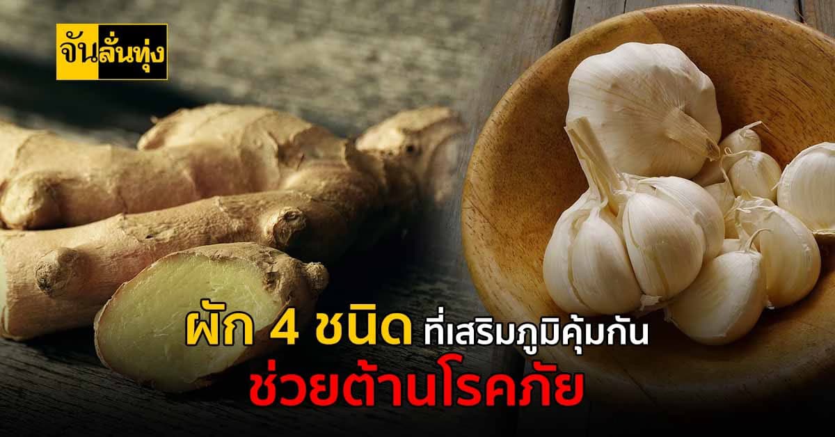 4 ชนิดผักที่มีประโยชน์ เสริมสร้างภูมิคุ้มกัน ให้ร่างกายกลับมาแข็งแรง