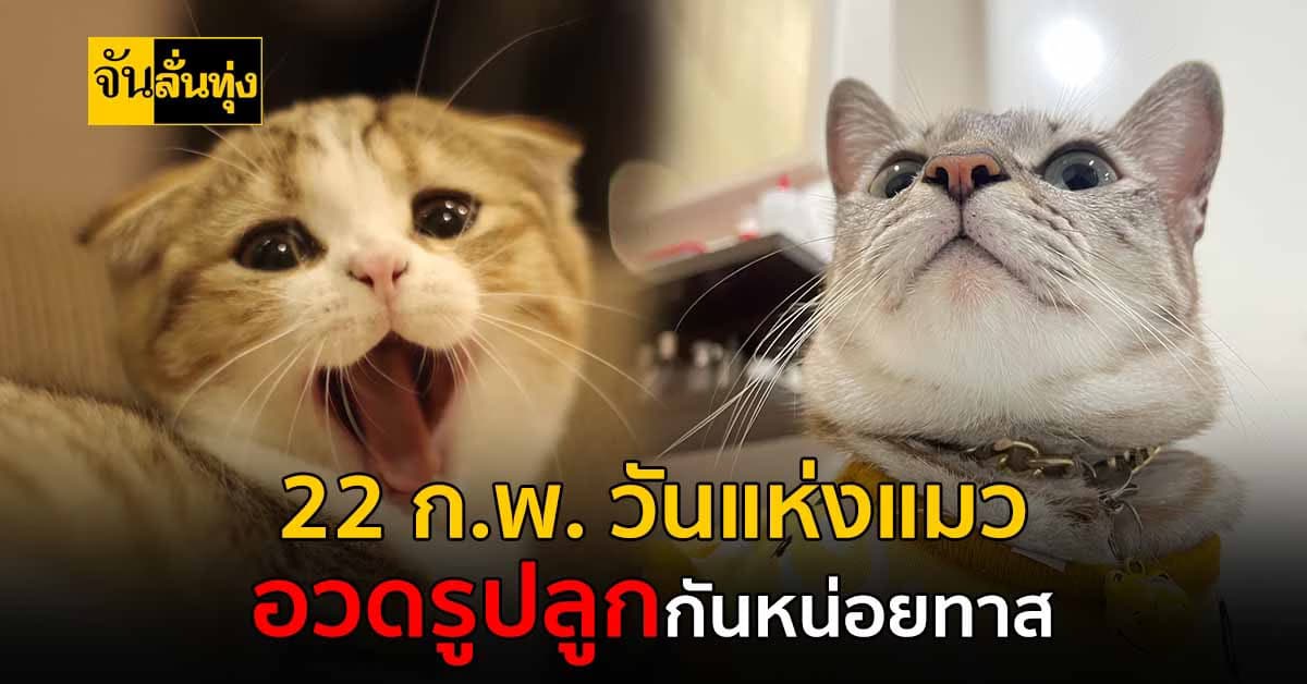 22 กุมภาพันธ์ “วันแห่งแมว” ของญี่ปุ่น จากความเชื่อนำมาสู่สัตว์เลี้ยงคู่บ้านคู่เมือง