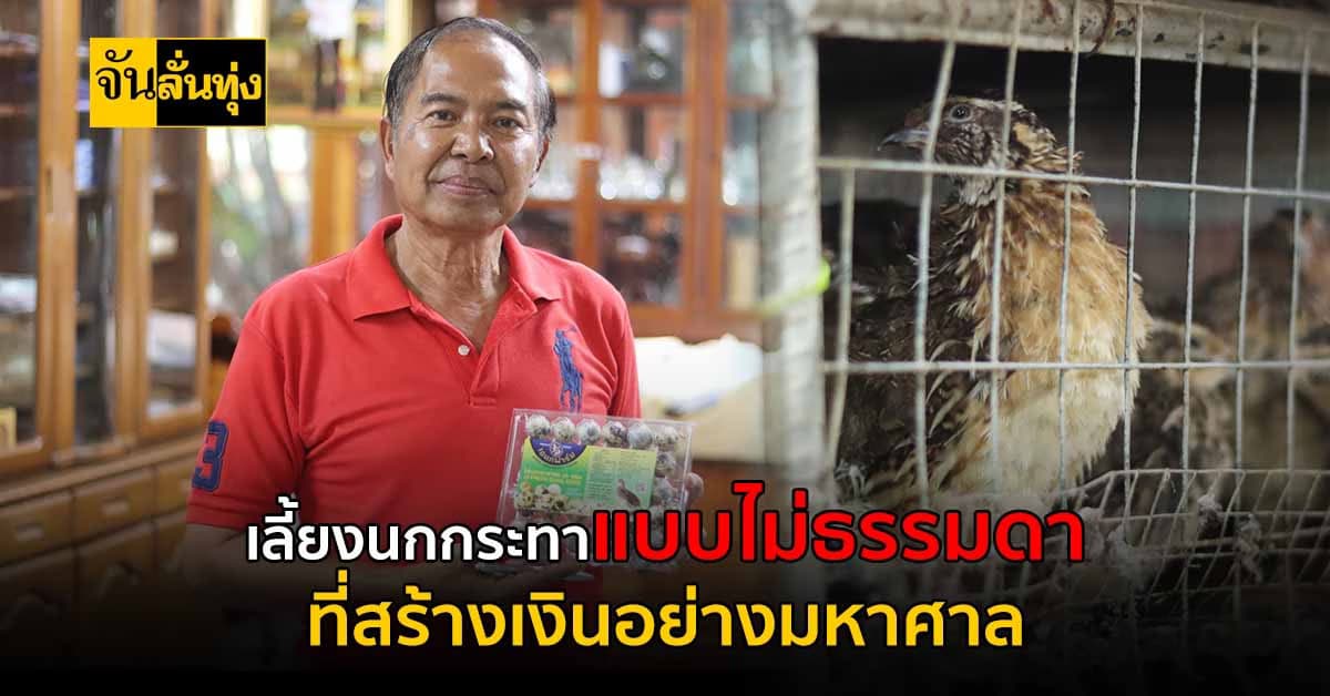 เลี้ยงนกกระทา เปลี่ยนชีวิต ที่สามารถขายได้ถึง หลักแสนต่อเดือน