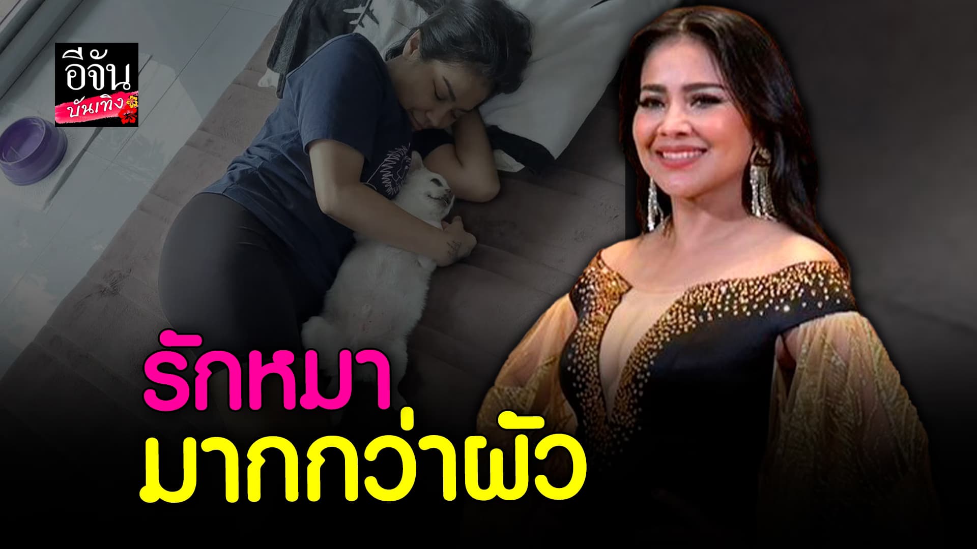 🎬 คลิปบันเทิง: ตั๊ก ศิริพร เผยแยกเตียงนอนกับ นุ้ย เชิญยิ้ม ขอนอนกับหมาแทน ลั่นรักหมามากกว่าผัว