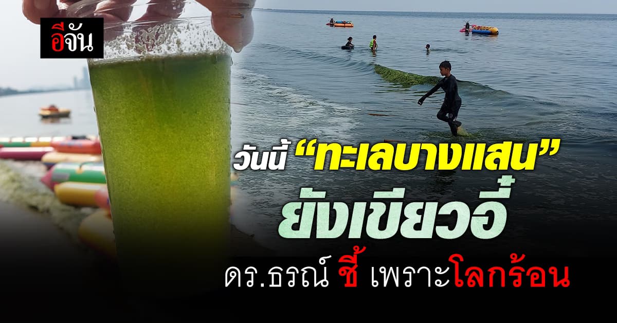 วันนี้ทะเลยังเขียวอี๋! ดร.ธรณ์ ชี้ ทะเลบางแสน จ.ชลบุรี เขียวผิดปกติ เพราะภาวะโลกร้อน