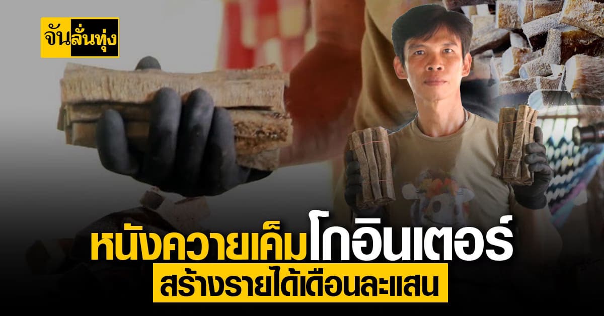 ปังสุด! ขายหนังควายเค็ม โกอินเตอร์ โกยเงินแสน ต่อเดือน