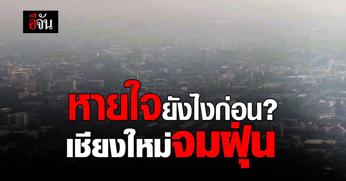 หายใจไงก่อน เชียงใหม่เจอศึกหนัก ผลกระทบไฟป่า ฝุ่น PM2.5 พุ่งสูงเกือบ 400 มก.