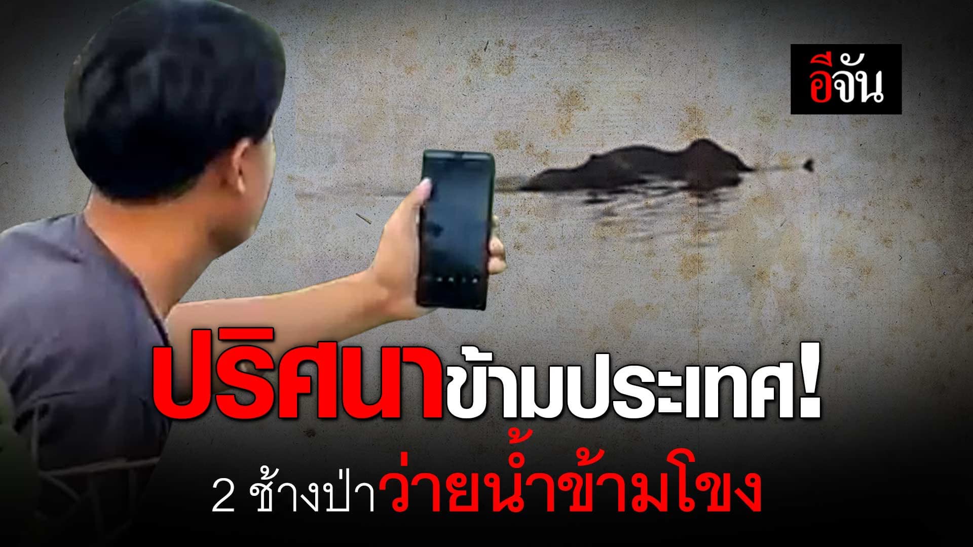 🎬 ปริศนาข้ามประเทศ! 2 ช้างป่า ว่ายน้ำข้ามโขง