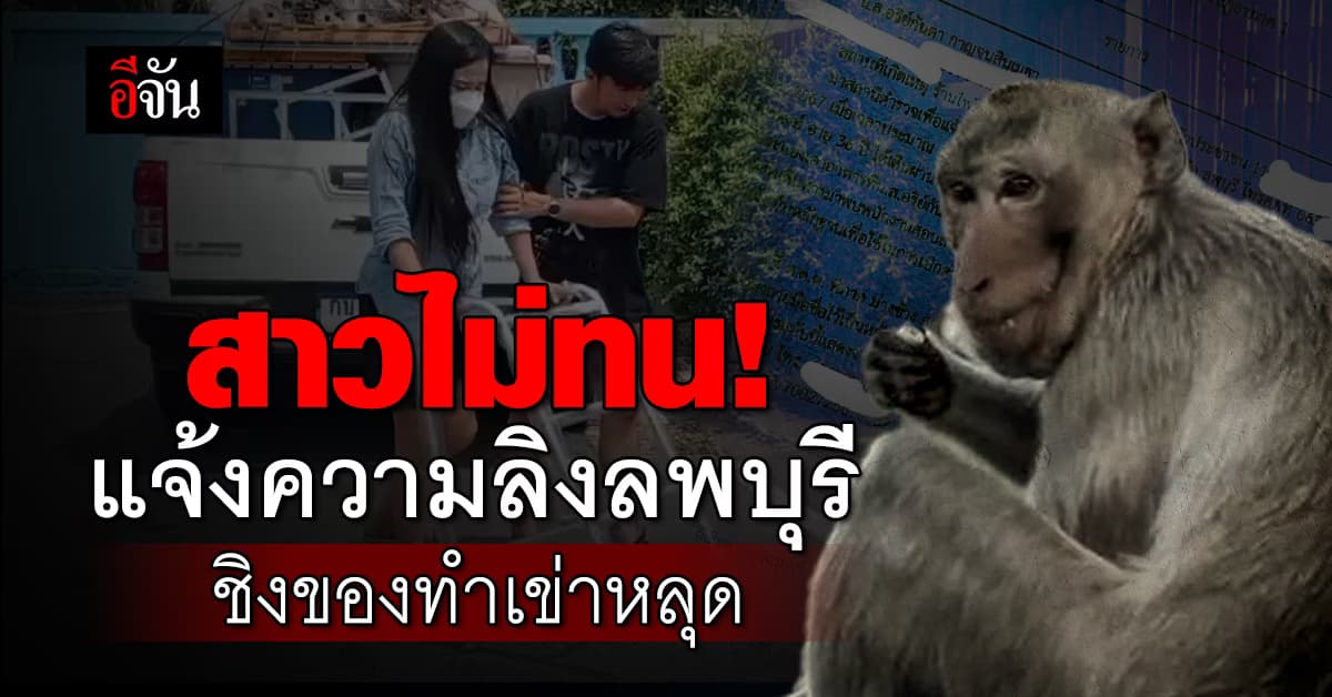 สาวไม่ทน! แจ้งความ “ลิงลพบุรี” ชิงของ จนล้ม สะโพก-หัวเข่าหลุด