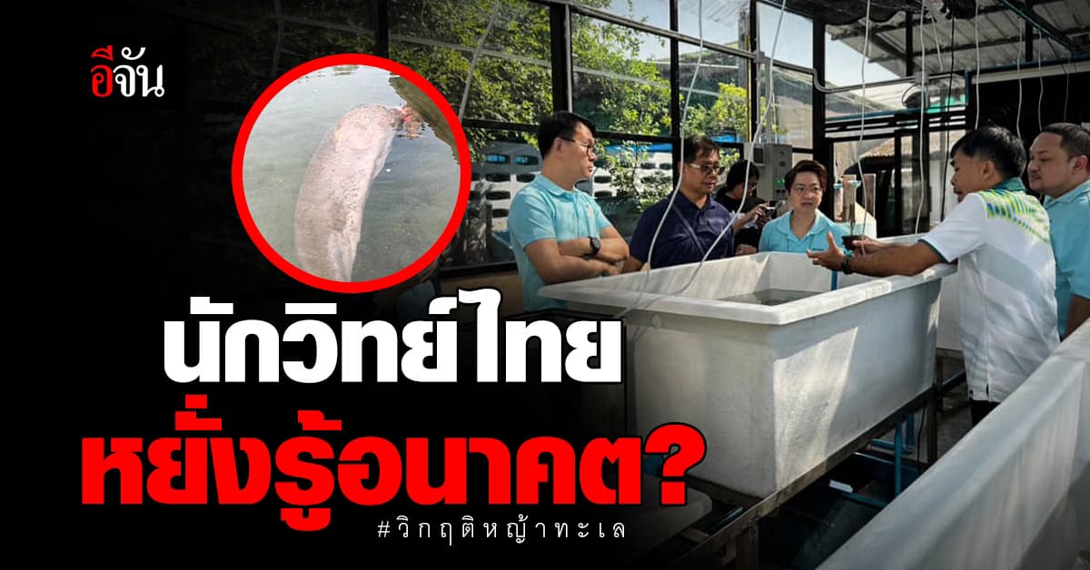 นักวิทย์ไทย รู้อนาคต วางแผนแก้ปัญหา หญ้าทะเล มานานกว่า 10 ปี