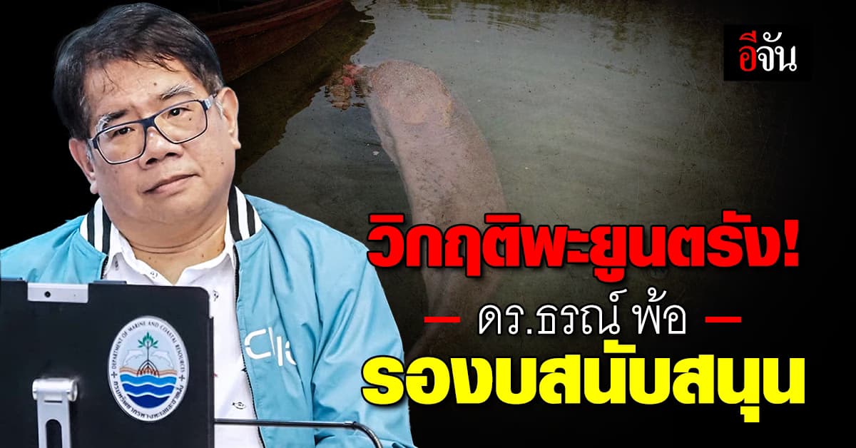 วิกฤติแล้ว! ดร.ธรณ์ เผย ผลสำรวจเบื้องต้นพื้นที่ตรัง ไม่พบพะยูนคู่แม่ลูกเลย