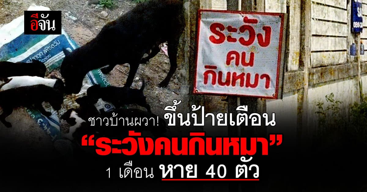 ชาวบ้านผวา! ขึ้นป้ายเตือน “ระวังคนกินหมา” หลัง 1 เดือนหมาหายกว่า 40 ตัว