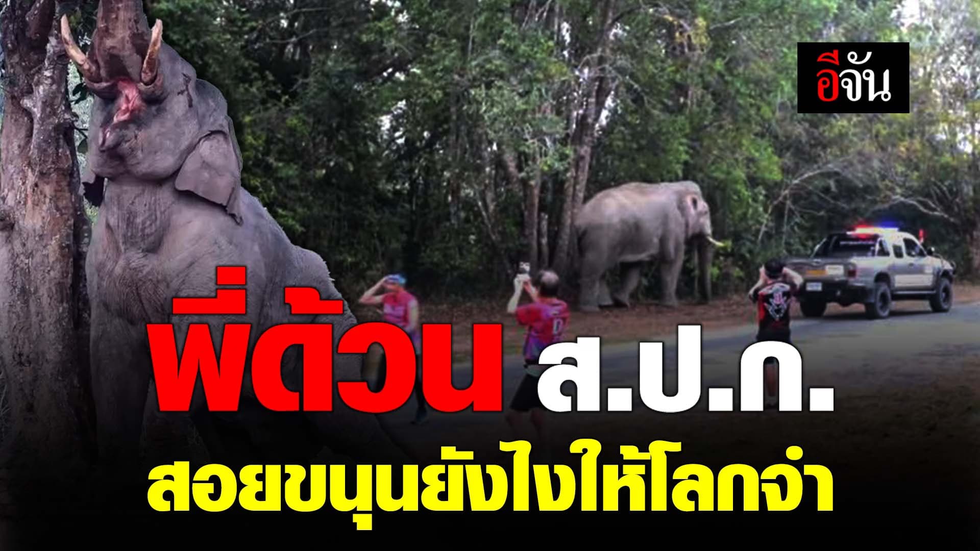 🎬 พี่ด้วน ส.ป.ก. ผมขอวิ่งด้วยคนครับ