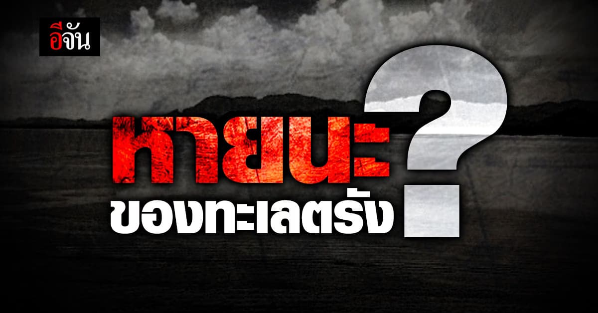 ทะเลตรังวิกฤติ 1 ปี สัตว์ทะเล หายเกินครึ่ง เชื่อ เหตุเพราะ หญ้าทะเล ใกล้หมด
