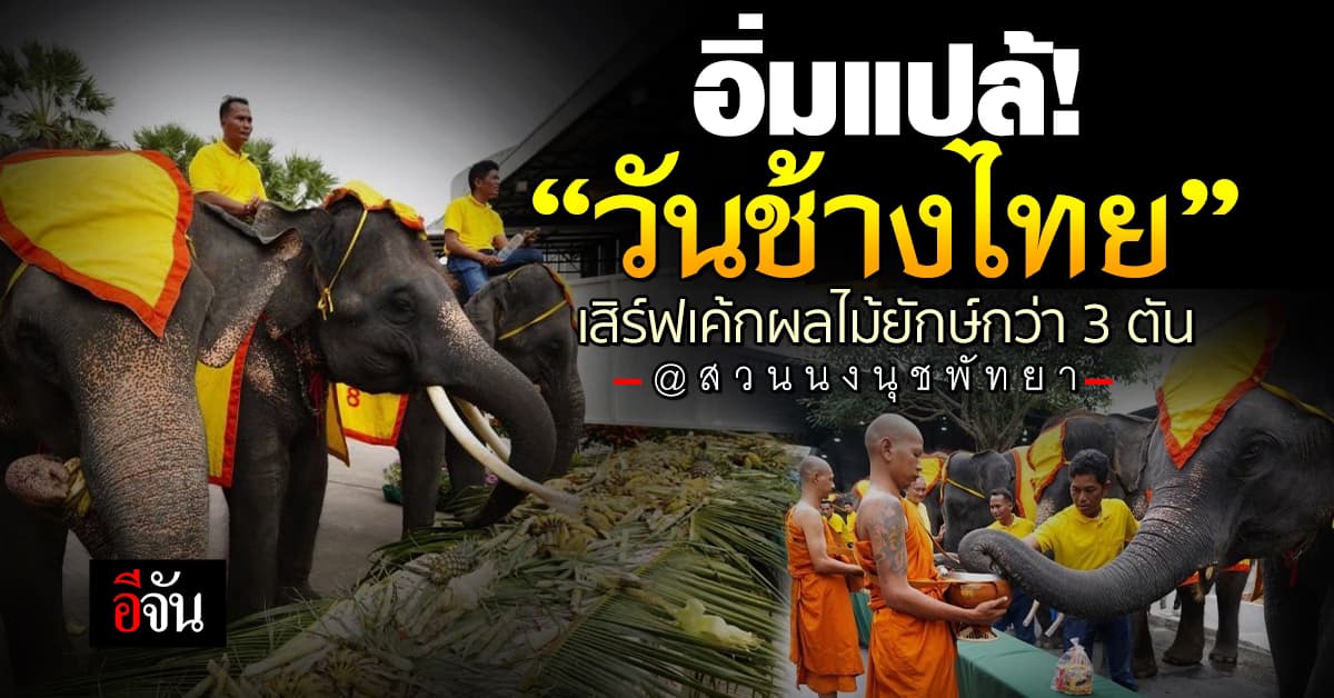 “วันช้างไทย” สวนนงนุชจัดเต็มเค้กผลไม้ยักษ์กว่า 3 ตัน