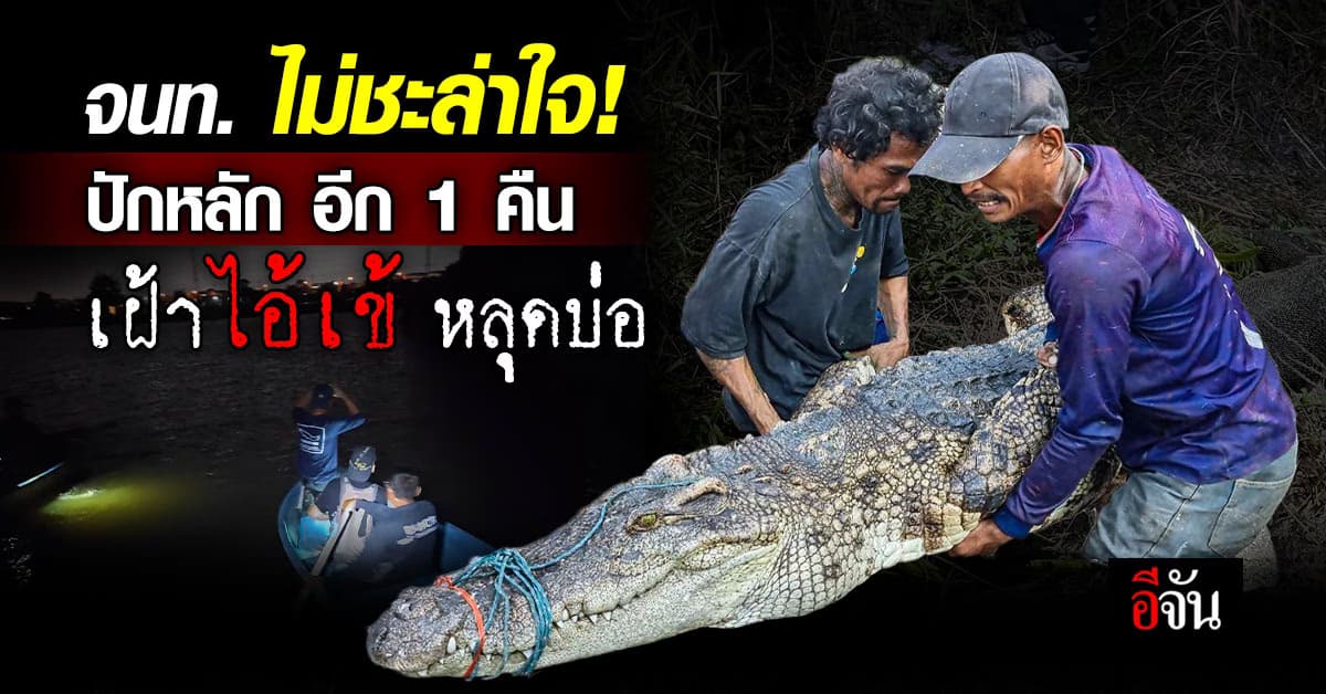 จนท. เฝ้าระวัง อีก 1 คืน จระเข้หลุดบ่อ สมุทรสาคร