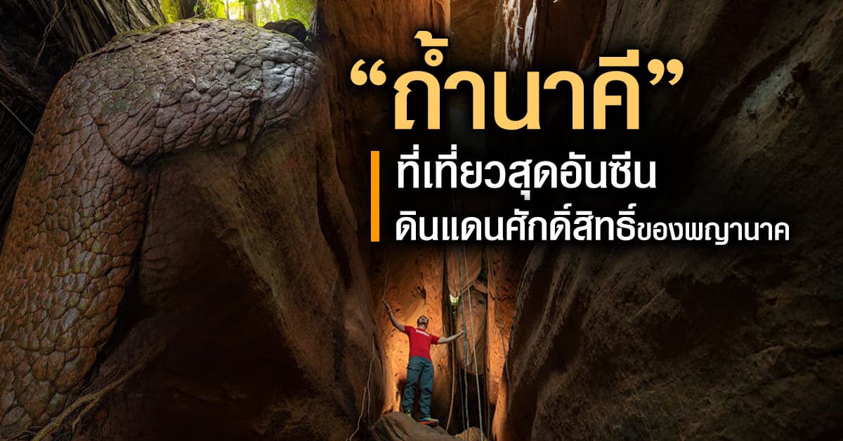 เปิดประวัติ ถ้ำนาคี แหล่งท่องเที่ยวสุดอันซีน ดินแดนศักดิ์สิทธิ์ของพญานาค