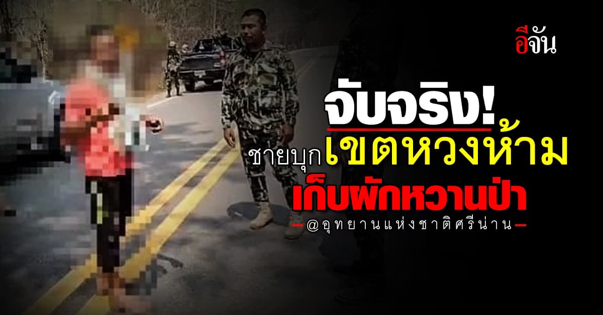 ทหารน่านเอาจริง! จับชายบุกป่า เขตหวงห้าม พื้นที่ อช.ศรีน่าน