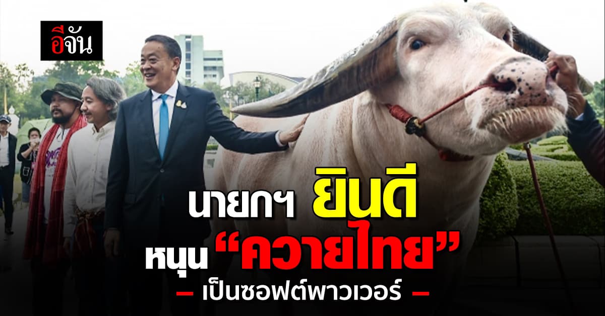 นายกฯ ยินดี หนุน “ควายไทย” เป็นซอฟต์พาวเวอร์