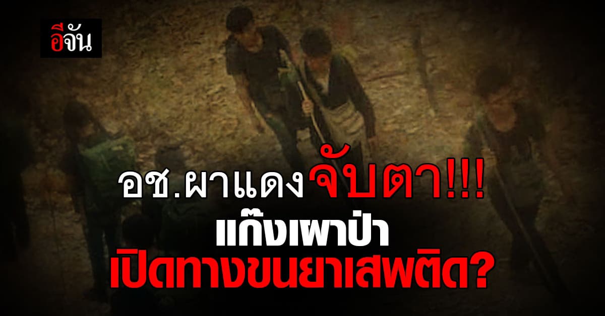 อช.ผาแดง จับตาแก๊งล่าสัตว์-เผาป่า เปิดทางขนยาเสพติด